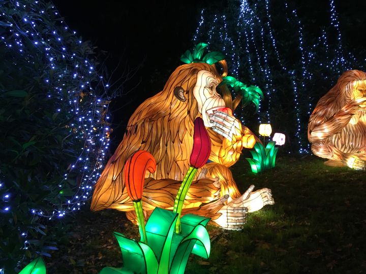 Les illuminations de Thoiry. (INGRID POHU / RADIO FRANCE)