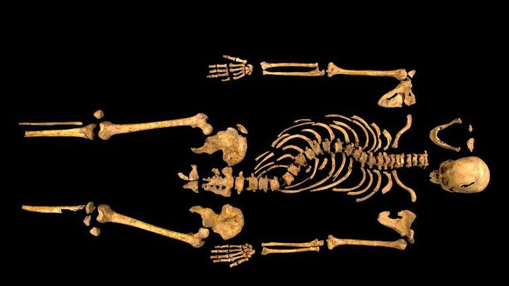 Le squelette de Richard III
 (- / UNIVERSITY OF LEICESTER / AFP)