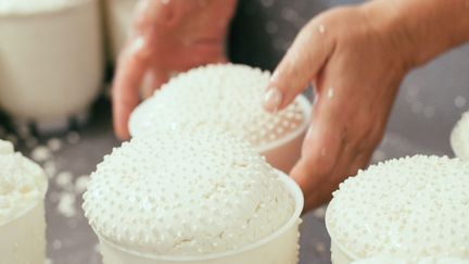 La fermentation de la ricotta en Toscane (Italie), le 11 f&eacute;vrier 2015. (SOFIE DELAUW / CULTURA CREATIVE / AFP)