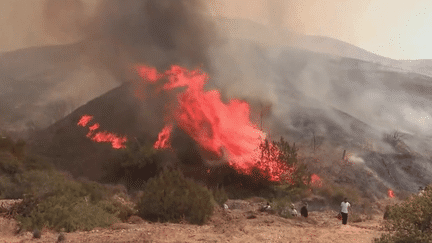 Incendies sur le pourtour méditerranéen : les questions qui se posent (France 3)