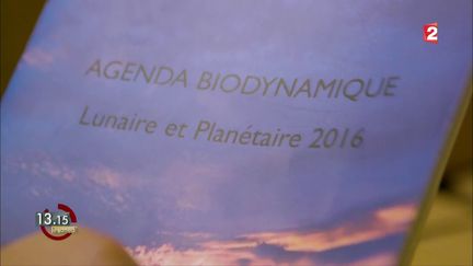 VIDEO. "13h15". Les secrets d'un vigneron biodynamique pour son vin naturel