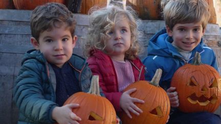 Depuis 25 ans, la Ferme de Gally, dans les Yvelines, célèbre la citrouille pour Halloween. De leur récolte à l’organisation d’atelier de découpage, les cucurbitacées sont à la fête. (FRANCE 2)