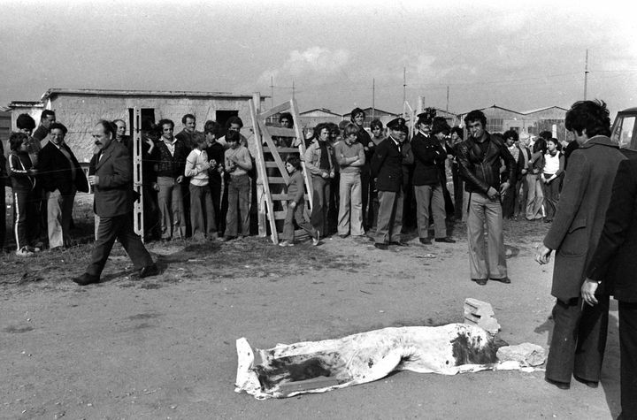 A Ostia, le lendemain de l'assassinat de Pasolini, le 2 novembre 1975.
 (ANSA FILES/EPA/MaxPPP)