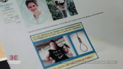 Compte parodique "Sardine Ruisseau", insultes sur les réseaux sociaux, mais aussi courriers ultraviolents : Sandrine Rousseau fait l'objet de menaces de viol et de meurtre