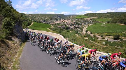 Le peloton du Tour de France (DE WAELE TIM / TDWSPORT SARL)