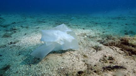 Les déchets plastiques sont plus qu'abondants sur notre littoral, on estime que les fonds marins abriteraient 10 millions de tonnes de plastiques. Le bassin nord-occidental de la Méditerrannée compte à lui seul 290 milliards de micro-déchets.  (MAXPPP)