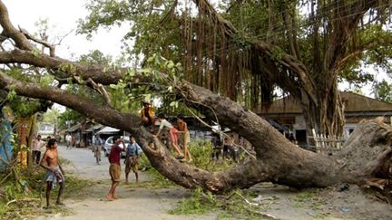 Le 14 avril 2010 : des vents de 120 km/h ont détruit des habitations et arraché des arbres en Inde et au Bangladesh. (AFP)