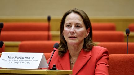 L'ancienne ministre de l'Ecologie, Ségolène Royal, au Sénat, le 9 juillet 2020. (DANIEL PIER / NURPHOTO / AFP)