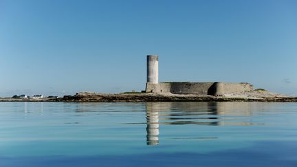 Chemins de traverse : à la découverte du Fort-Cigogne