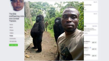 Un garde forestier du parc national des Virunga, en République démocractique du Congo, avec deux gorilles, sur une photo postée le 18 avril 2019.&nbsp; (MATHIEU SHAVAMU / FACEBOOK)