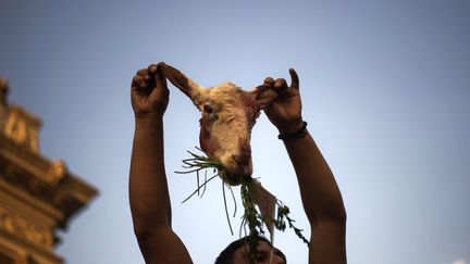 Un manifestant brandit une t&ecirc;te de mouton devant le palais pr&eacute;sidentiel pour demander la d&eacute;mission du pr&eacute;sident &eacute;gyptien, Mohamed Morsi au Caire (Egypte), le 2 juillet 2013. (GIANLUIGI GUERCIA / AFP)