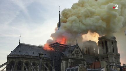 Envoyé spécial. Les orphelins de Notre-Dame