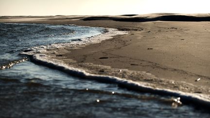 Les plages près des îles de la Frise, aux Pays-Bas, le 27 mars 2013. (REMKO DE WAAL / ANP MAG)