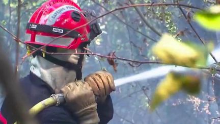 Incendies : les pompiers volontaires mobilisés en renfort