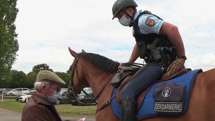 Mutilations de chevaux : en Mayenne, la gendarmerie se mobilise (FRANCE 2)