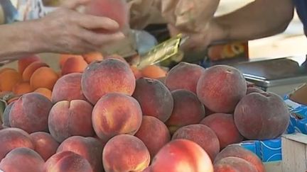 Canicule : le marché à la fraîche