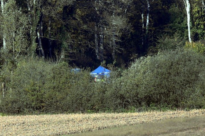 La tente beue des techniciens de l'identification criminelle de la gendarmerie sur le lieu de la découverte du corps d'Alexia Daval, le 31 octobre 2017, près de Gray (Haute-Saône). (MAXPPP)