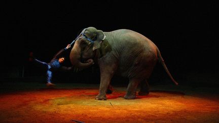 Un acrobate réalise un numéro avec un éléphant dans un cirque installé à Paris, le 26 novembre 2003. (MARTIN BUREAU / AFP)