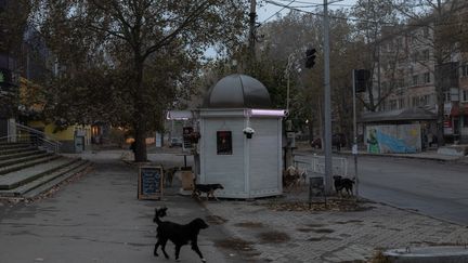 Les rues de la ville de Kherson, en Ukraine, le 3 novembre 2023. (ROMAN PILIPEY / AFP)