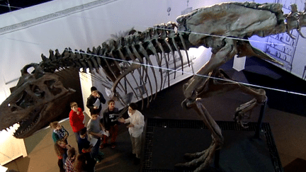 T.Rex est à Bordeaux, à Cap Sciences, pour un an 
 (France3/Culturebox)