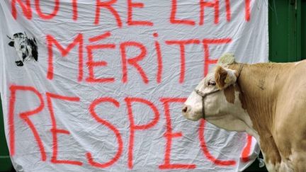 Le 16 octobre 2009 à Colmar, en Alsace. (AFP/SEBASTIEN BOZON)