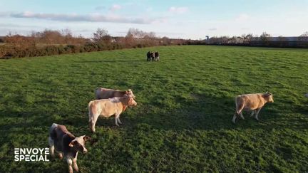 Des investisseurs citoyens au secours des jeunes agriculteurs (ENVOYÉ SPÉCIAL  / FRANCE 2)