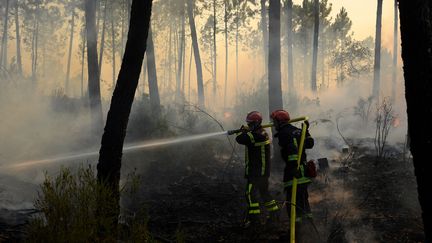 Des pompiers interviennent sur les flammes dans la forêt de Vidauban dans le Var le 18 août 2021. (NICOLAS TUCAT / AFP)