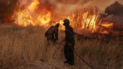 Des pompiers tentent d'éteindre un feu, le 12 août 2024 près d'Athènes (Grèce). (COSTAS BALTAS / ANADOLU AGENCY / AFP)