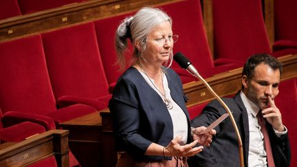 La députée Agnès Thill lors d'une séance de questions au gouvernement, le 5 mai 2020 à l'Assemblée nationale. (ROMAIN GAILLARD / AFP)