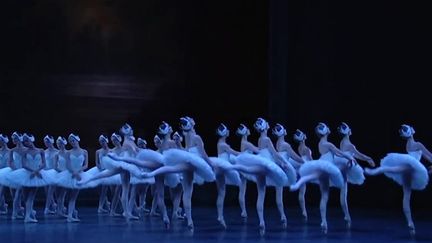 "Lac des cygnes", Opéra Bastille, décembre 2016
 (Capture d&#039;écran / Culturebox)