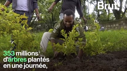 Un record ! Et ce n'est que le début de l'opération de reboisement exceptionnelle mise en place par le pays afin de lutter contre le réchauffement climatique et la déforestation.