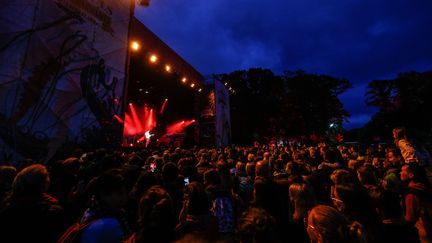 Les festival des Vieilles Charrues (illustration), le 8 juillet 2021.&nbsp; (SAMEER AL-DOUMY / AFP)