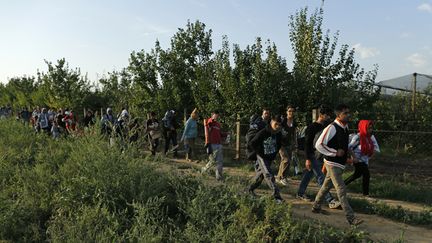 &nbsp; (Des migrants marchant le long de la frontière entre le Serbie et la Croatie, près le ville de Sid, ce mercredi © REUTERS - Antonio Bronic)