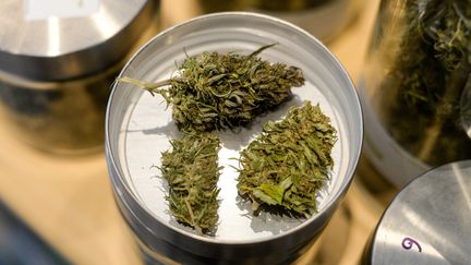 Les Français sont les plus gros consommateurs de cannabis en Europe. (JENS KALAENE / ZB)