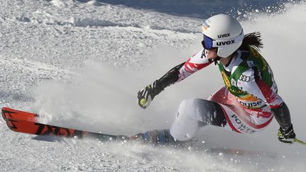 Cornelia Huetter  (MARK RALSTON / AFP)