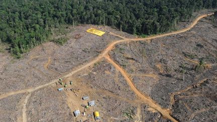 Les Nations unies ont mis en place un programme baptisé REDD (Reducing Emissions from Deforestation and Forest Degradation). Plus de 190 Etats sont tombés d'accord pour amener les pays qui abritent de précieuses forêts tropicales. Ils se sont engagés à éviter de couper les arbres ou à les gérer de manière durable, en créant une aide financière pour les inciter à protéger leurs forêts. (AFP PHOTO / ROMEO GACAD)