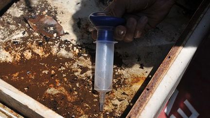 Des échantillons de larves de moustiques sont prélevés dans un récipient contenant de l'eau de pluie dans une cour, à San José. ( AFP PHOTO/Hector RETAMAL)