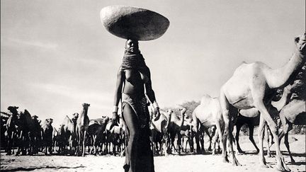 est née au Kenya en 1933 d’un père italien et d’une mère française. Dès l’âge de 18 ans et ce pendant 20 ans, elle va sillonner le pays avec son appareil photo et tout photographier : pêcheurs, nomades, Massaïs, Pygmées… de la façon dont on fait la cour à une femme à la frénésie de la danse ou des safaris. «J’éprouve des sentiments très profonds pour les extraordinaires ressources en beauté́ de l’Afrique. Avant qu’elles ne disparaissent complètement, je veux en conserver une partie, ne serait-ce qu’en images.»
 
 
 
 (Mirella Ricciardi/La Gacilly)