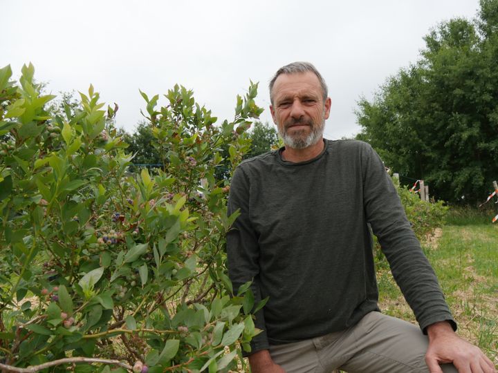 Frédéric Lantin produit ses arbustes à petits fruits en bio, à Tiercé, en Anjou. (ISABELLE MORAND / RADIO FRANCE / FRANCE INFO)