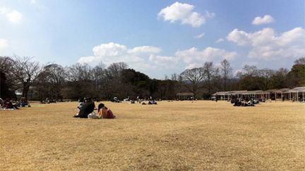 Thomas Bertrand était au jardin botanique de Kyoto dimanche dernier. Il y a pris ce cliché qu'il nous a transmis. (Thomas Bertrand)