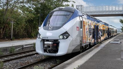 Un train à la gare de Martigues (Bouches-du-Rhône), le 18 juin 2023. (MANUEL COHEN / AFP)