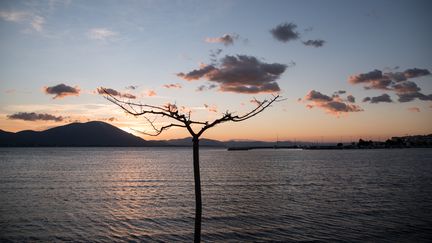 Un coucher de soleil à&nbsp;Nea Artaki, sur l'île d'Eubée (Grèce), le 14 février 2019.&nbsp; (WASSILIOS ASWESTOPOULOS / NURPHOTO / AFP)