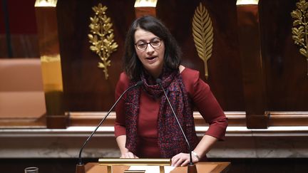 Cécile Duflot : "Ni l'état d'urgence ni la déchéance de nationalité ne requièrent de révision constitutionnelle"