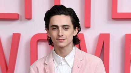 Timothée Chalamet à Londres le 16 décembre 2019 (ANTHONY HARVEY / REX / SIPA / SHUTTERSTOCK)