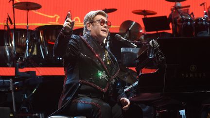 Elton John en concert en juillet 2019 à Munich. (FELIX HORHAGER / DPA)