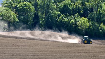 Agriculture : le mélange des cultures pour moins subir les aléas climatiques