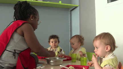 La mairie de Gennevilliers, dans les Hauts-de-Seine, a décidé de racheter une ferme pour produire des légumes destinés aux cantines de ses neuf crèches. Elles seront approvisionnées à partir de janvier 2025.