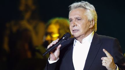 Michel Sardou, "indigné" par les propos qu'on lui attribue
 (PIERRE VERDY / AFP)