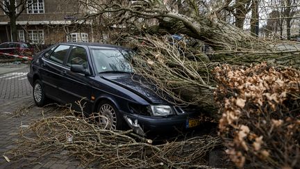 Des dégâts provoqués par le passage de la tempête Eunice, le 18 février 2022 à Amsterdam (Pays-Bas).&nbsp; (SEM VAN DER WAL / ANP / AFP)