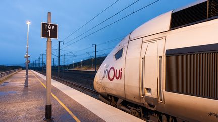 A SNCF TGV in Louvigny (Calvados), January 22, 2024.  (Kevin Reitz / Hans Lucas)